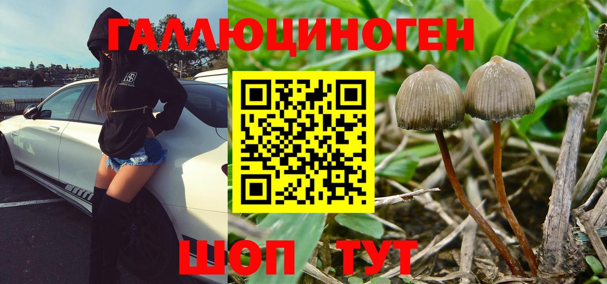 Барнаул  Галлюциногенные грибы MAGIC MUSHROOMS  Вход с VPN  Галлюциногенные грибы GOLDEN TEACHER 